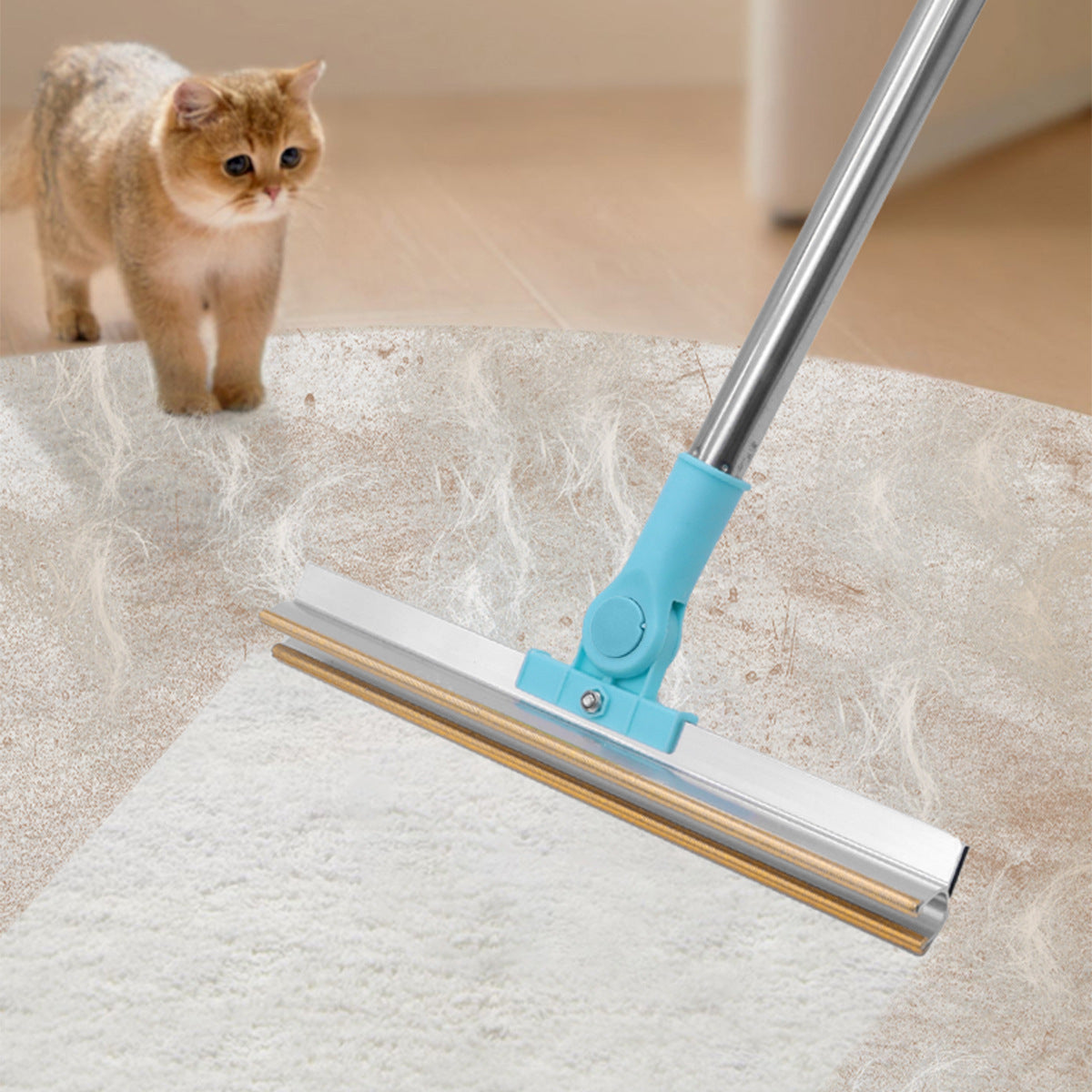 Pet hair scraper