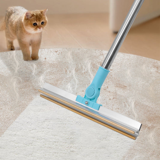 Pet hair scraper